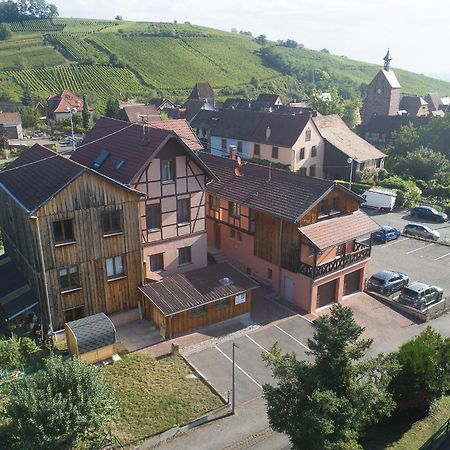 Pinot Gris - Charmant Studio Au Coeur Du Vignoble - Parking Gratuit Riquewihr Eksteriør billede