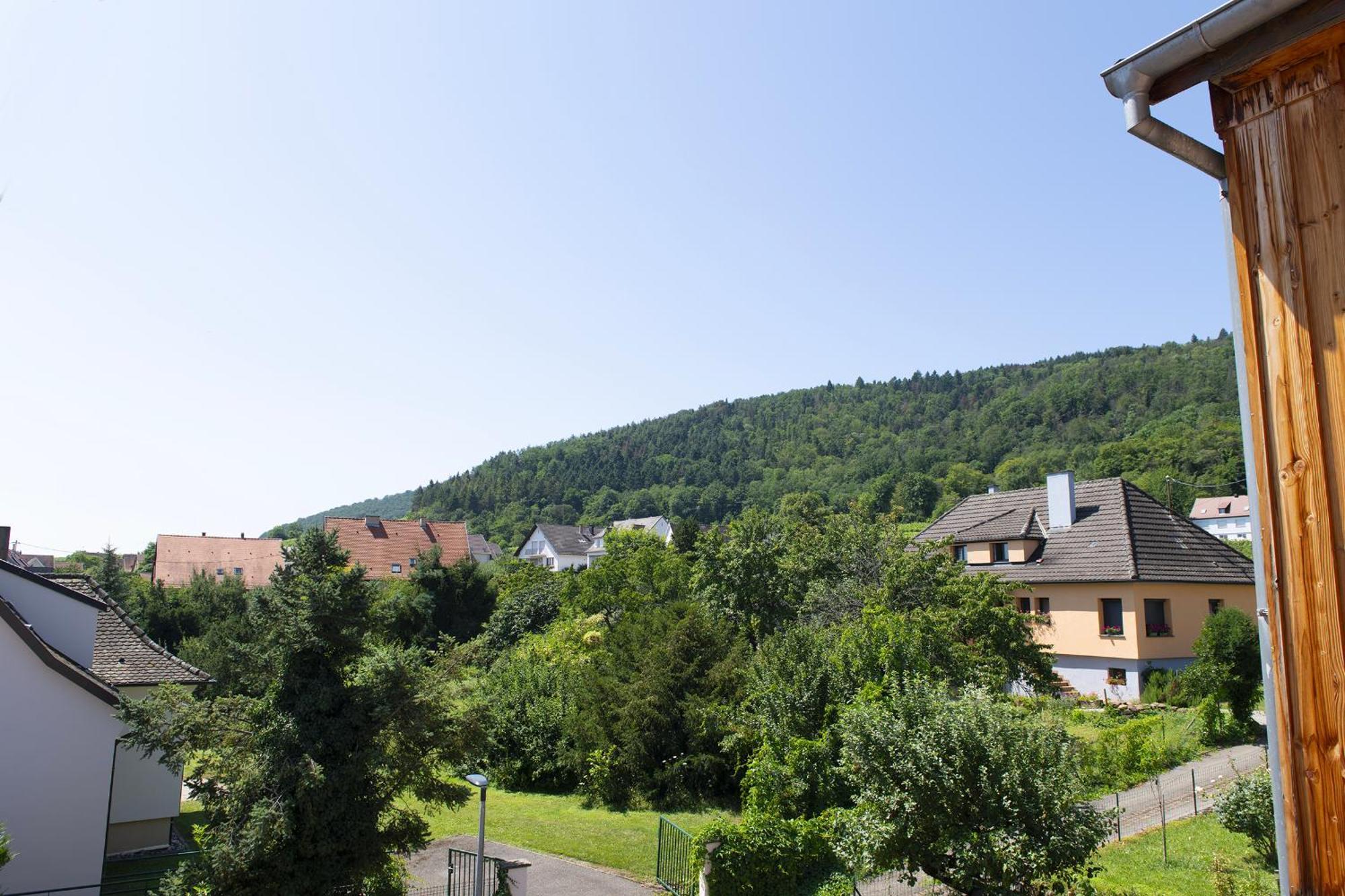 Pinot Gris - Charmant Studio Au Coeur Du Vignoble - Parking Gratuit Riquewihr Eksteriør billede